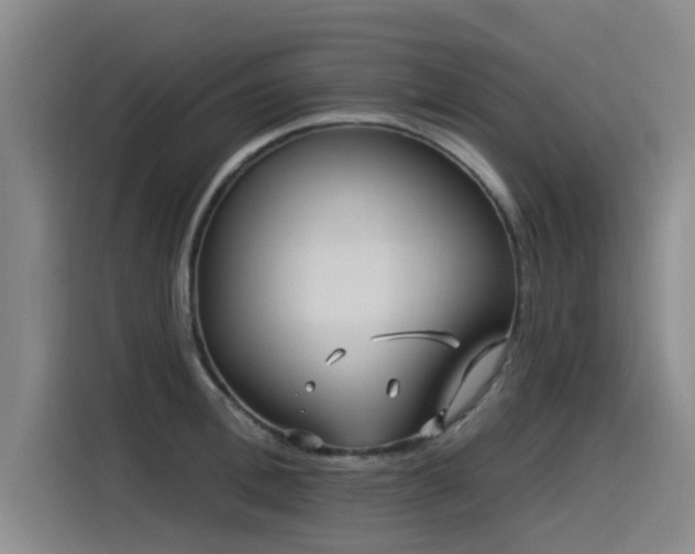 X0000115530996200911061436