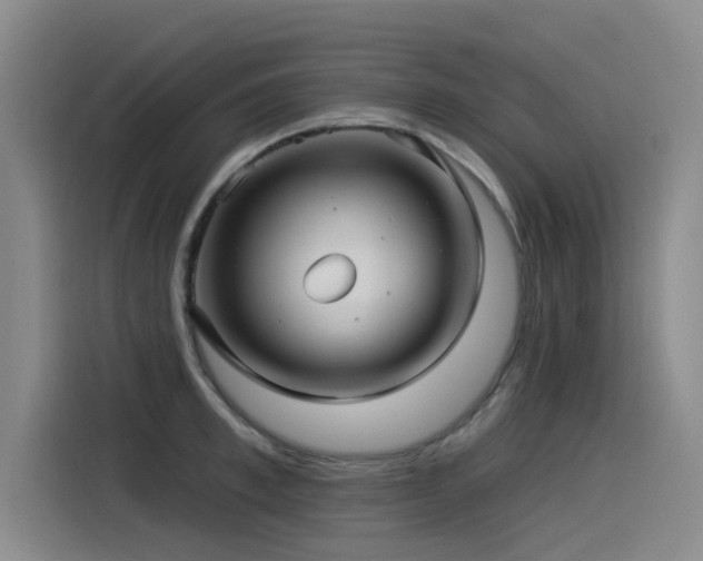 X0000115530997200911061436