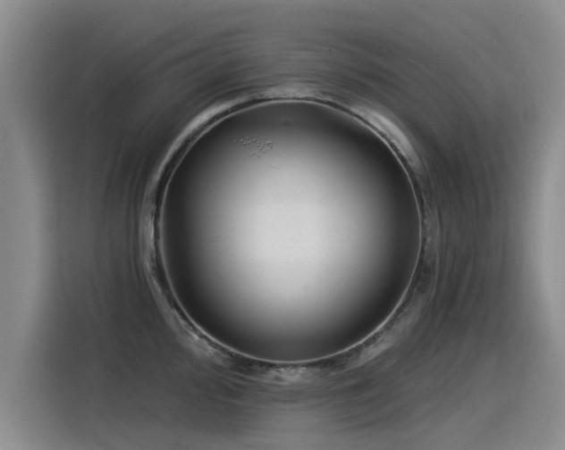 X0000115531000200911061436