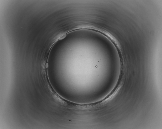 X0000115531001200911061436