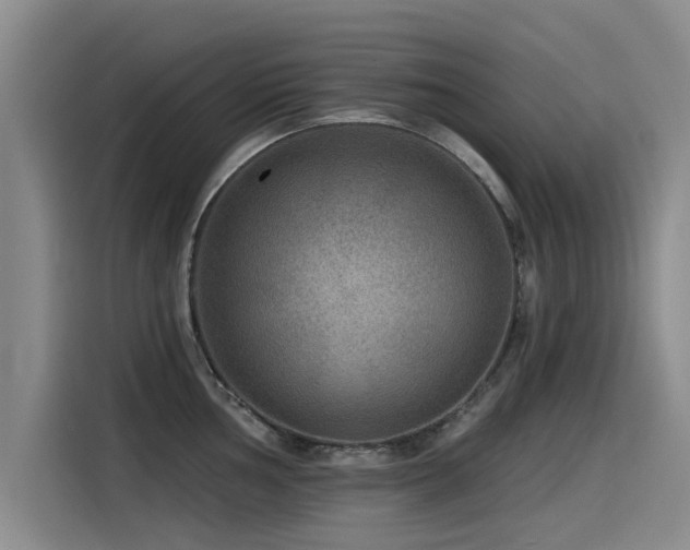 X0000115531002200911061436