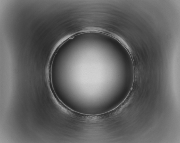 X0000115531003200911061436