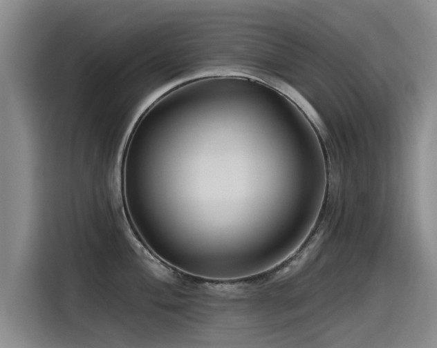 X0000115531004200911061436