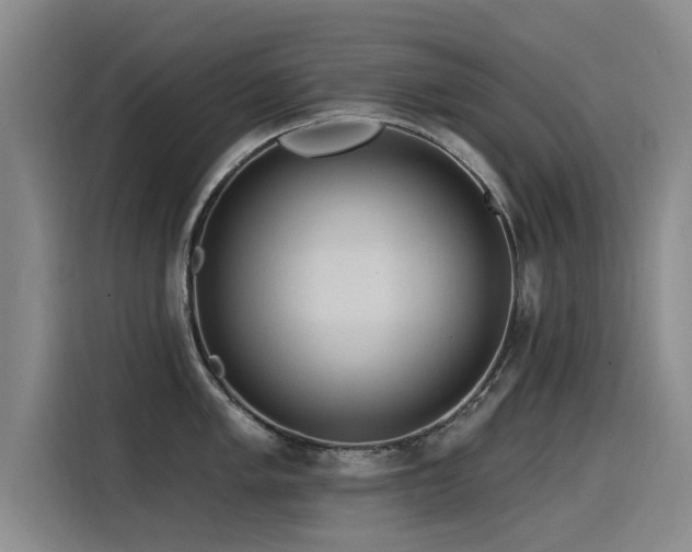 X0000115531005200911061436