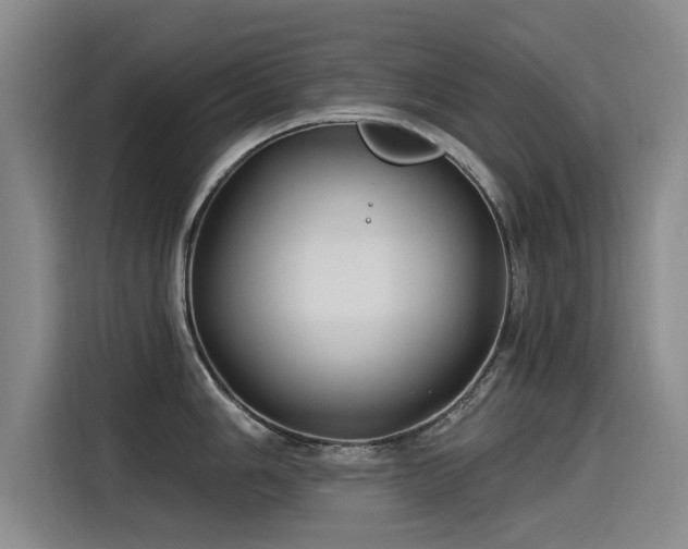 X0000115531006200911061436