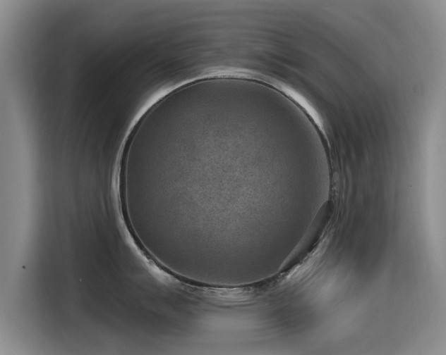 X0000115531007200911061436
