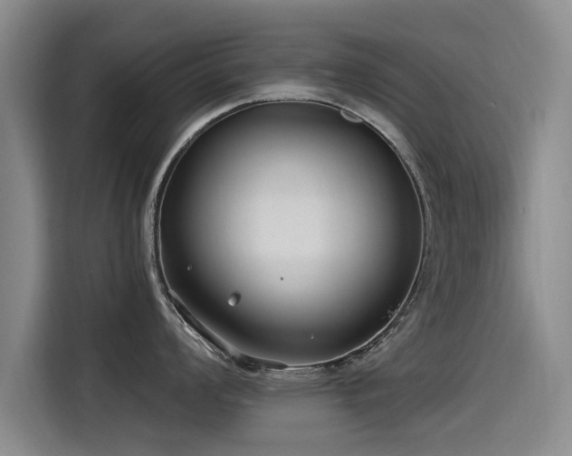 X0000115531008200911061436