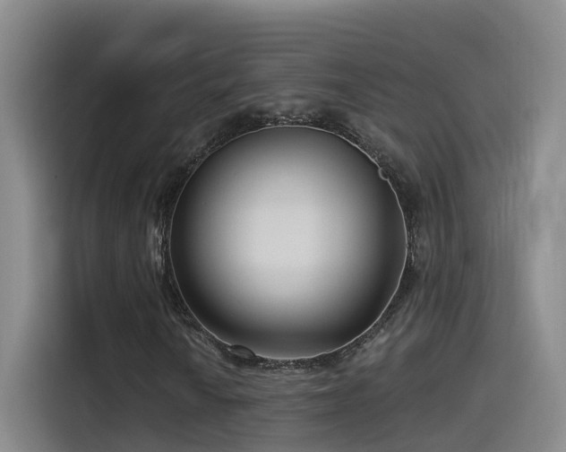X0000115531010200911061436