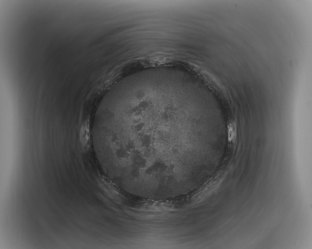 X0000115531011200911061436