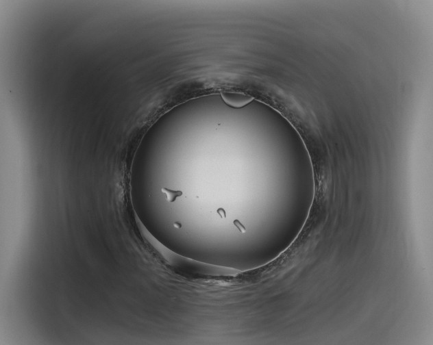 X0000115531012200911061436