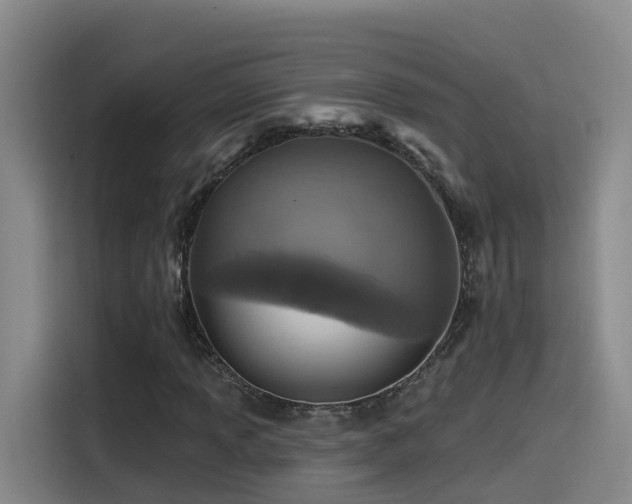 X0000115531013200911061436