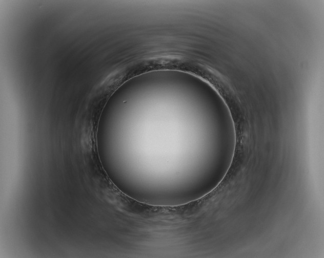 X0000115531014200911061436