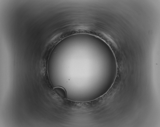 X0000115531015200911061436