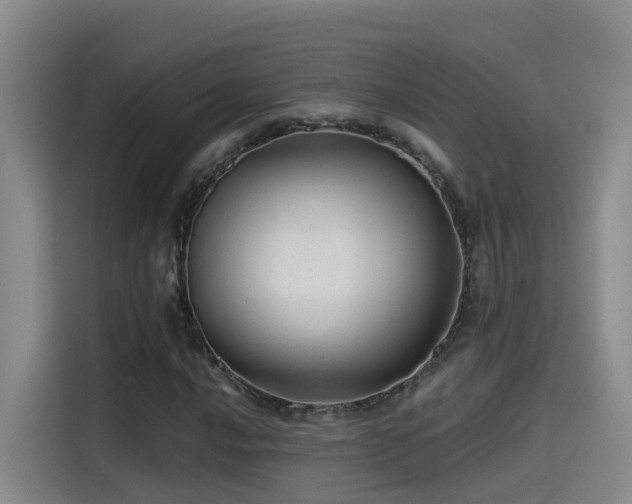 X0000115531016200911061436