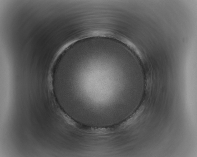 X0000115531019200911061436