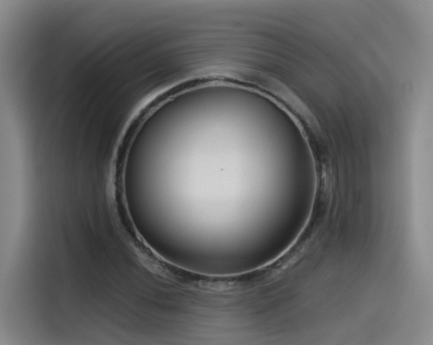X0000115531020200911061436