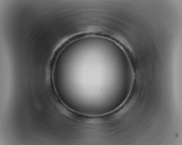 X0000115531021200911061436