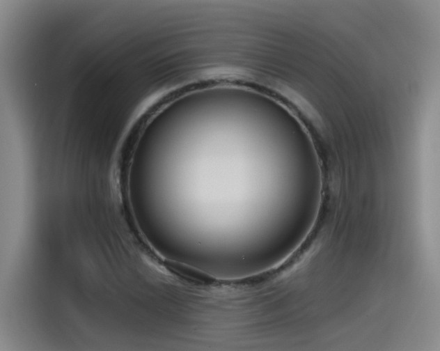 X0000115531022200911061436