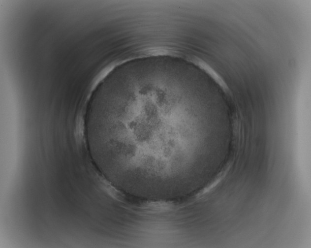 X0000115531023200911061436
