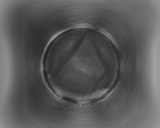 X0000115531024200911061436