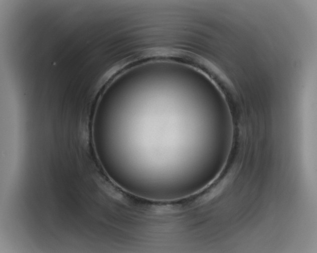 X0000115531025200911061436