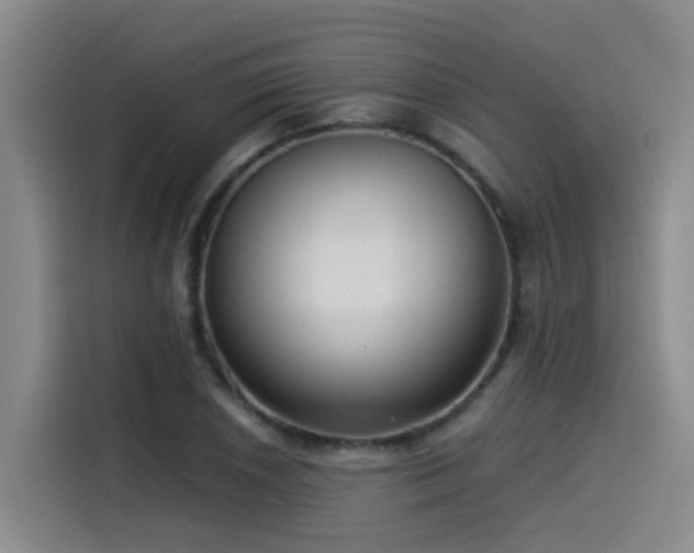 X0000115531026200911061436