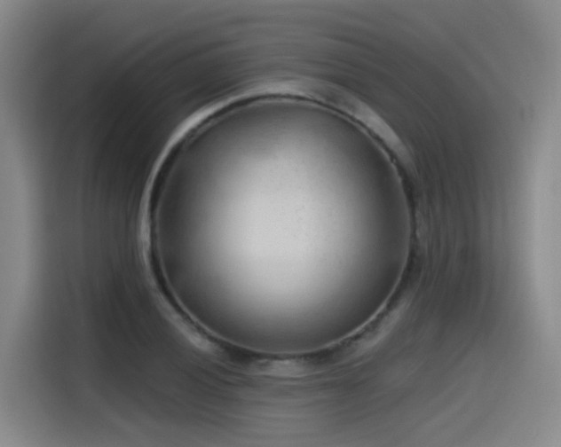 X0000115531028200911061436