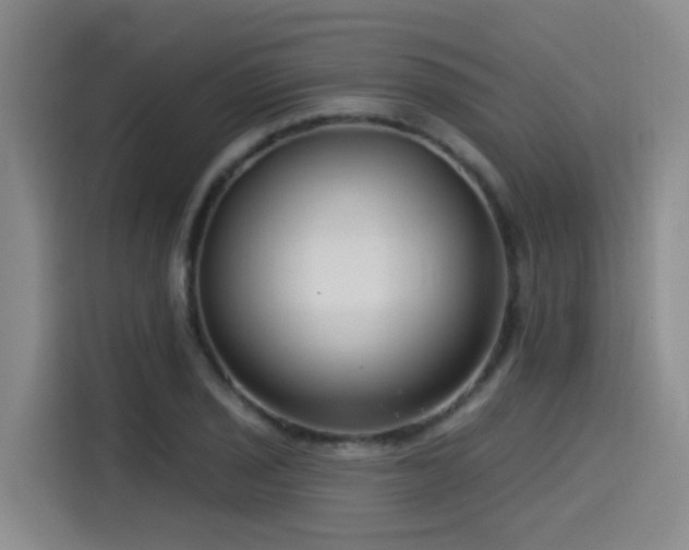 X0000115531029200911061436