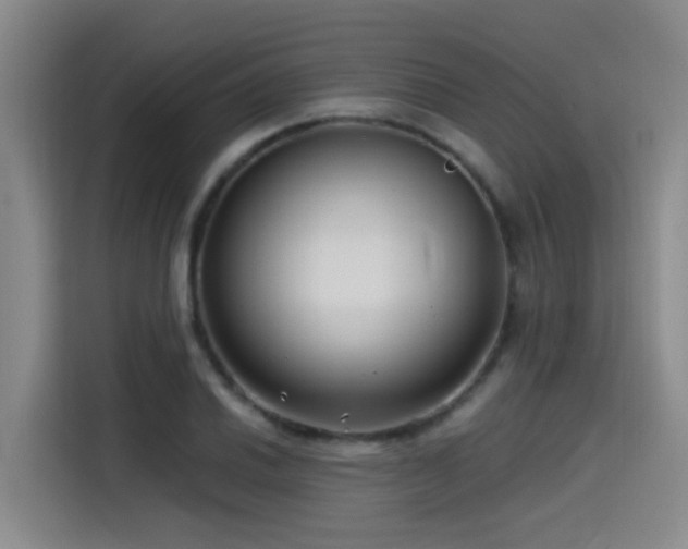 X0000115531030200911061436