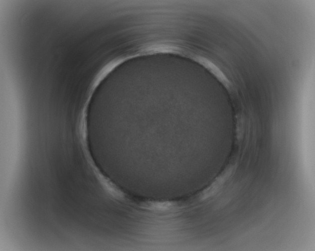 X0000115531031200911061436