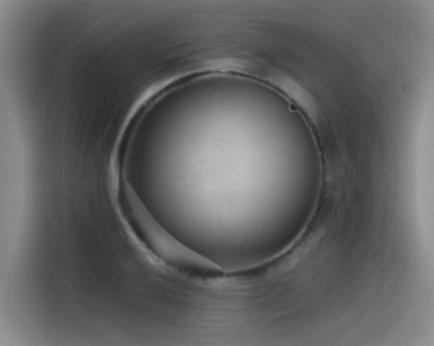 X0000115531032200911061436