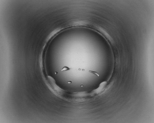 X0000115531034200911061436
