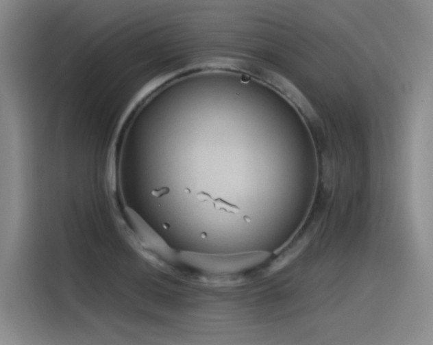 X0000115531036200911061436
