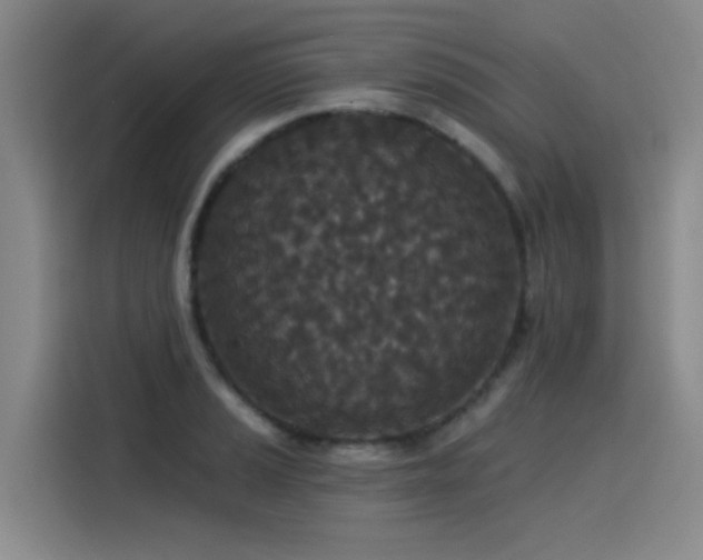 X0000115531037200911061436