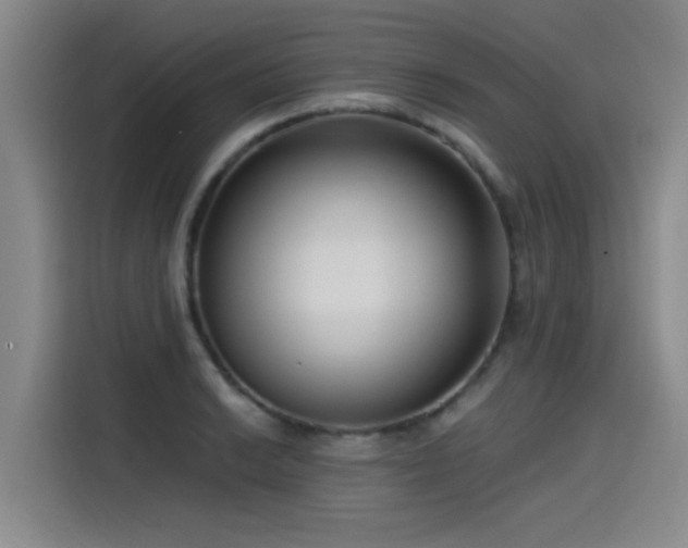 X0000115531038200911061436