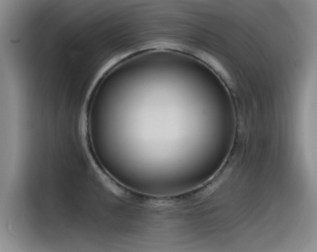 X0000115531040200911061436
