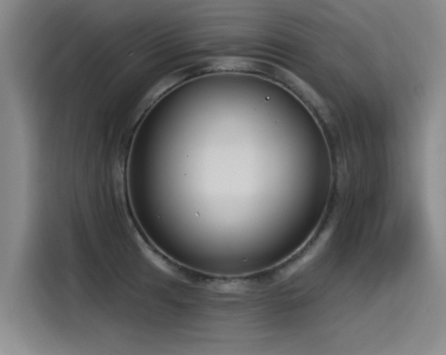 X0000115531041200911061436