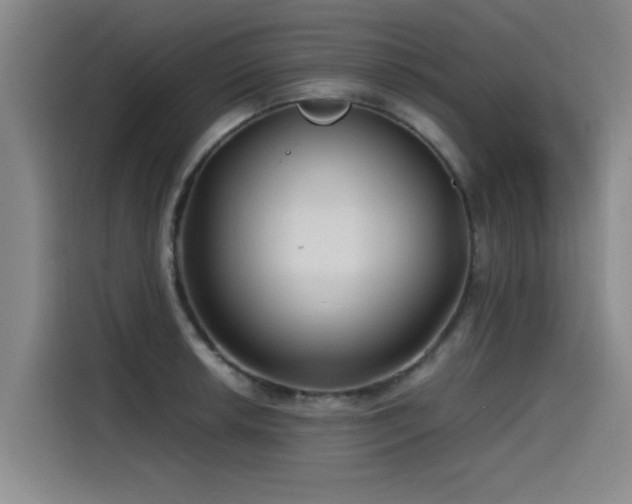 X0000115531042200911061436