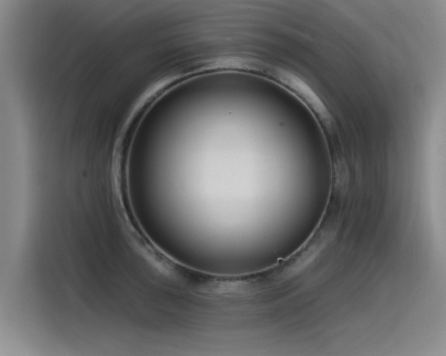 X0000115531043200911061436