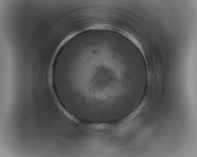 X0000115531045200911061436