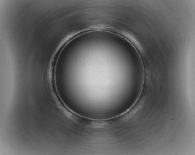 X0000115531046200911061436