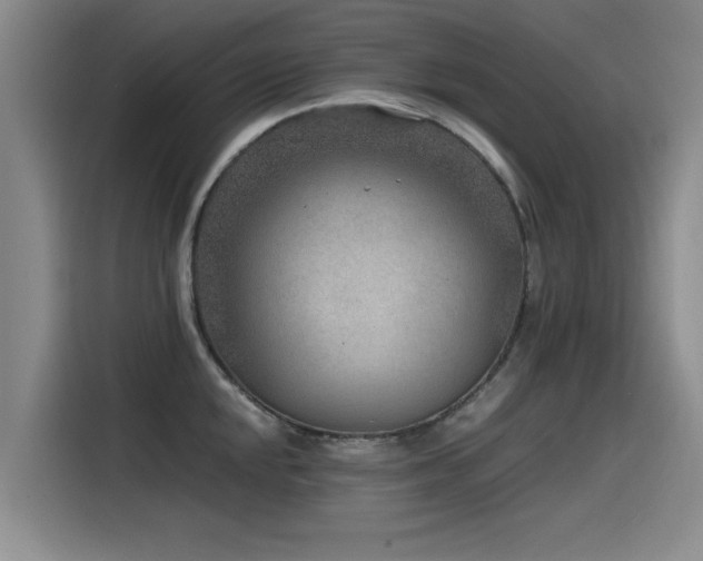 X0000115531048200911061436