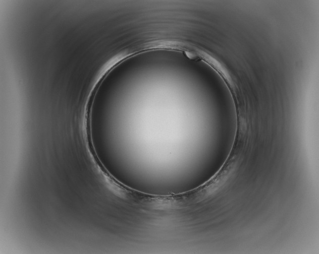 X0000115531050200911061436