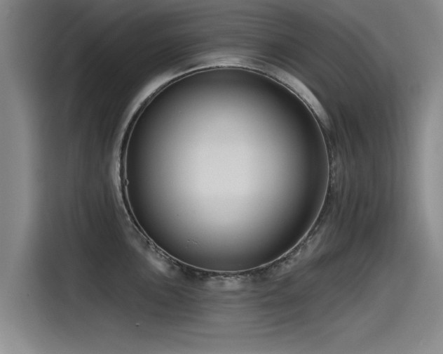 X0000115531051200911061436