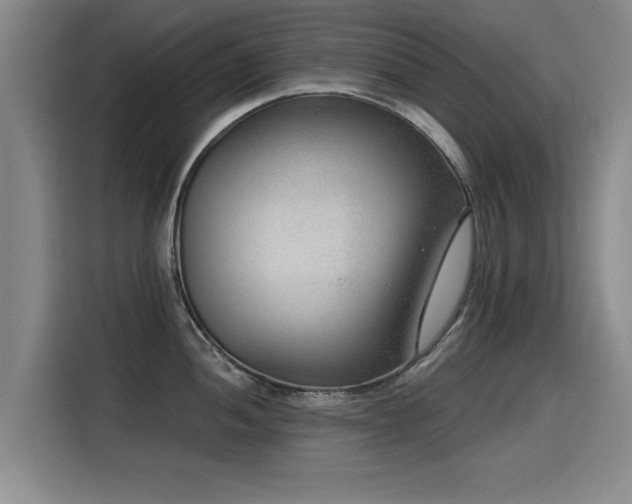 X0000115531052200911061436