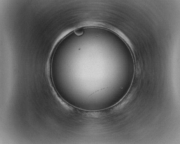 X0000115531053200911061436
