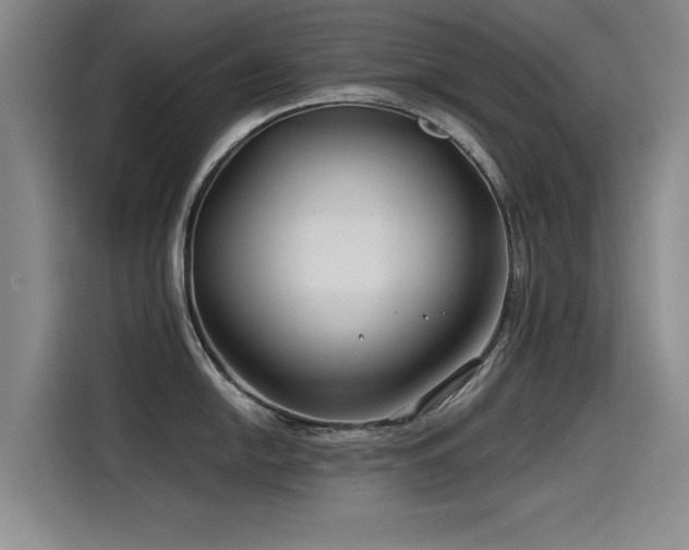 X0000115531054200911061436