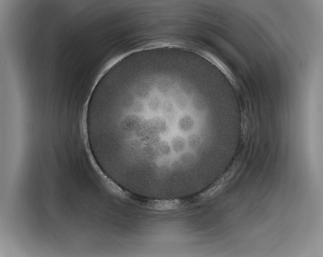 X0000115531055200911061436