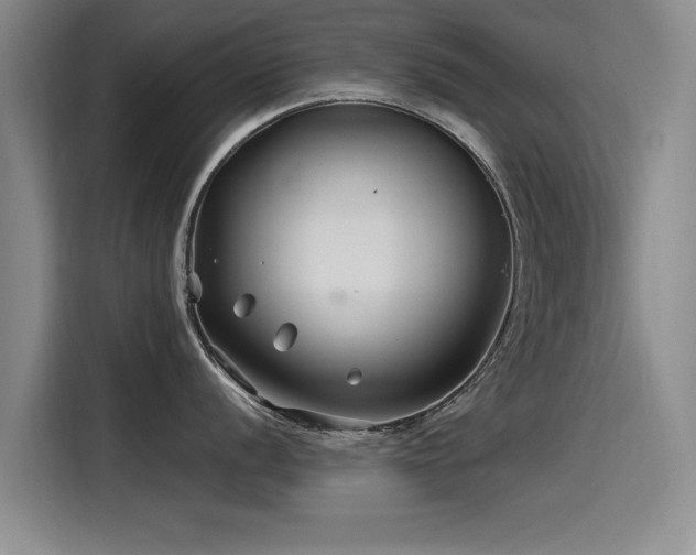 X0000115531056200911061436