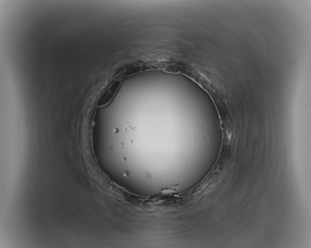 X0000115531057200911061436